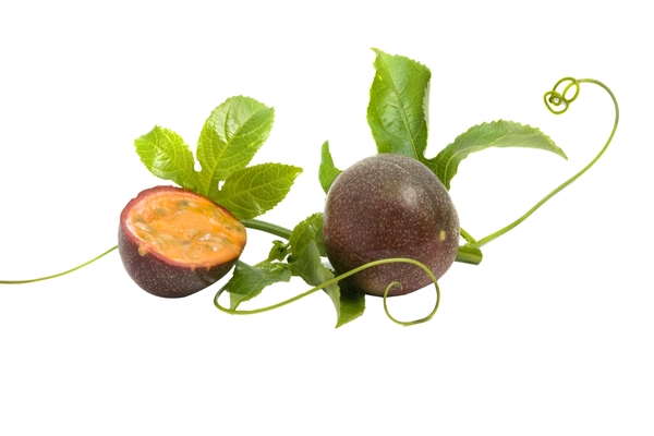 Image Image
